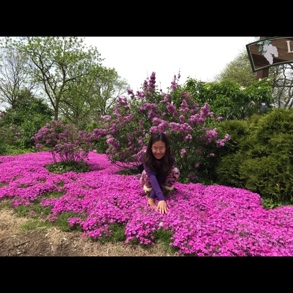 Meet your Posh ambassador, Lioness Den Resale - Picture 3 of 7